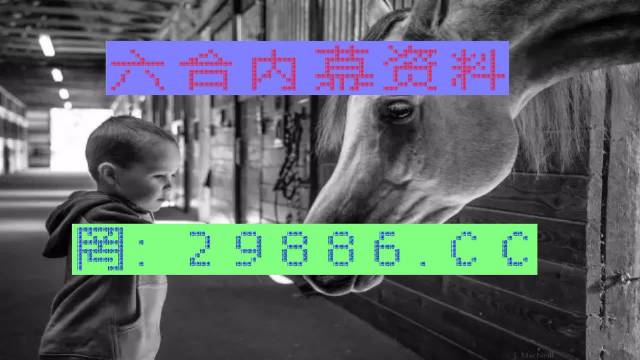 2025澳门买马最准网站和澳门管家婆100%精准,全面释义、解释与落实与警惕虚假宣传