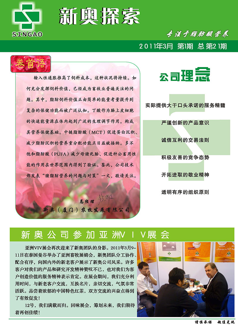2025新澳精准正版免費資料与2025精准资料免费大全.与警惕虚假宣传-全面释义、解释与落实